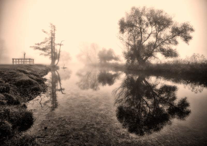 Reflections in Shallows.jpg